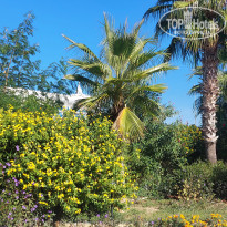 фото из отзыва ID 2740594