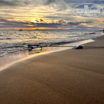 фото из отзыва ID 2740608