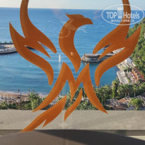 фото из отзыва ID 2740590