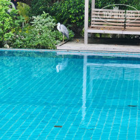 фото из отзыва ID 2740614