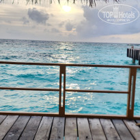 фото из отзыва ID 2740614