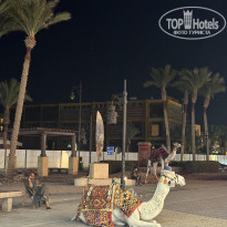 фото из отзыва ID 2740616