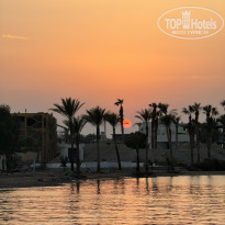 фото из отзыва ID 2740616