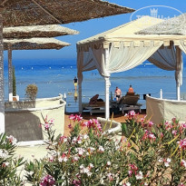 фото из отзыва ID 2740389