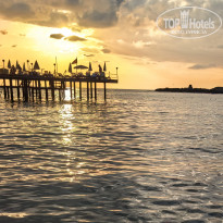 фото из отзыва ID 2740646