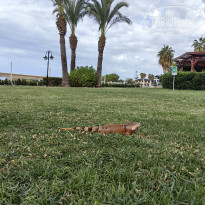 фото из отзыва ID 2740646