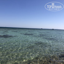 фото из отзыва ID 2740664