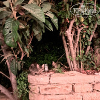 фото из отзыва ID 2740666