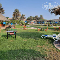 фото из отзыва ID 2740671