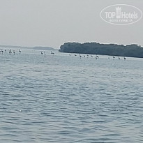 фото из отзыва ID 2740671