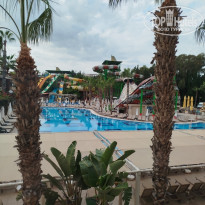 фото из отзыва ID 2740535