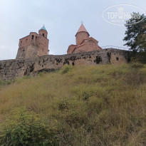 фото из отзыва ID 2740571