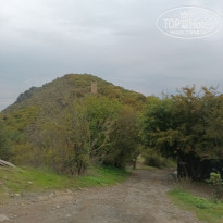 фото из отзыва ID 2740571