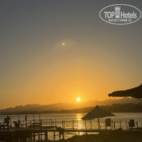 фото из отзыва ID 2740693