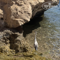 фото из отзыва ID 2740693