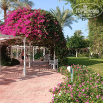 фото из отзыва ID 2740720