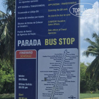 фото из отзыва ID 2740729