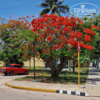 фото из отзыва ID 2740729