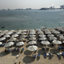 фото из отзыва ID 2740761