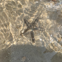 фото из отзыва ID 2740761