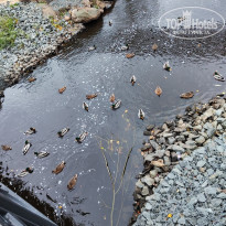 фото из отзыва ID 2740765