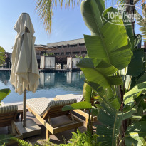 фото из отзыва ID 2740767