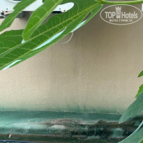 фото из отзыва ID 2740810