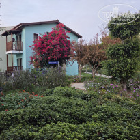 фото из отзыва ID 2740846