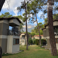 фото из отзыва ID 2740820