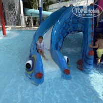 фото из отзыва ID 2740865