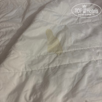 фото из отзыва ID 2740865