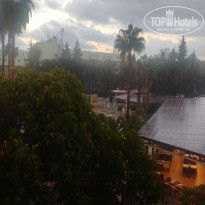 фото из отзыва ID 2740870