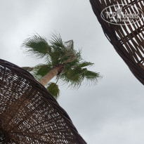 фото из отзыва ID 2740870