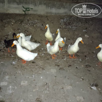 фото из отзыва ID 2740870