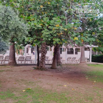 фото из отзыва ID 2740870