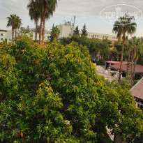 фото из отзыва ID 2740870