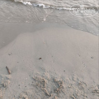 фото из отзыва ID 2740892