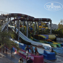 фото из отзыва ID 2740890