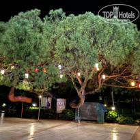 фото из отзыва ID 2740924