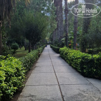 фото из отзыва ID 2740730