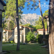 фото из отзыва ID 2740730