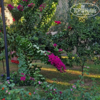 фото из отзыва ID 2740730