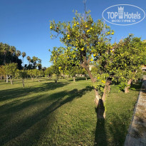 фото из отзыва ID 2740938