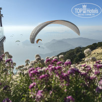 фото из отзыва ID 2740940