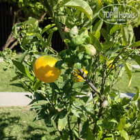 фото из отзыва ID 2740940