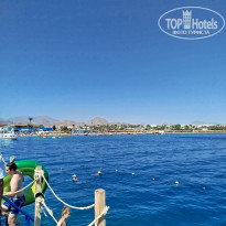 фото из отзыва ID 2740950