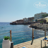 фото из отзыва ID 2740950