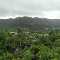 фото из отзыва ID 2740954