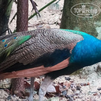 фото из отзыва ID 2740954