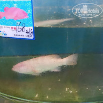 фото из отзыва ID 2740954